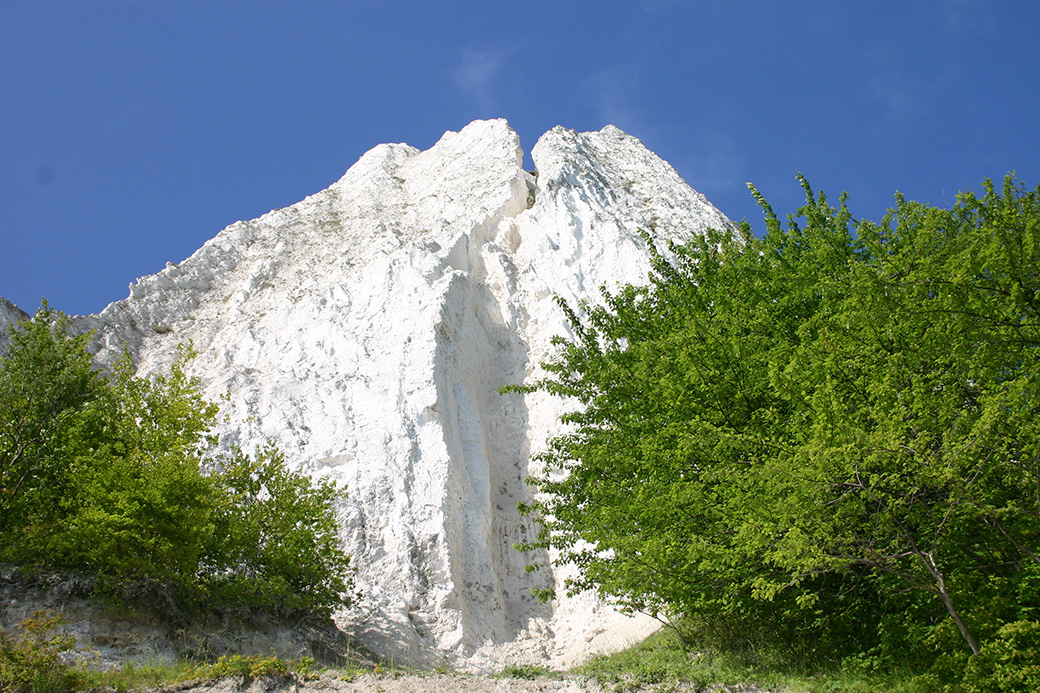 Der 118 m hohe Königsstuhl ist vom herablaufenden Regenwasser schon weit ausgespühlt