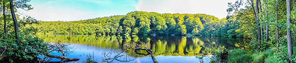 Vorschau Panorama Herthasee