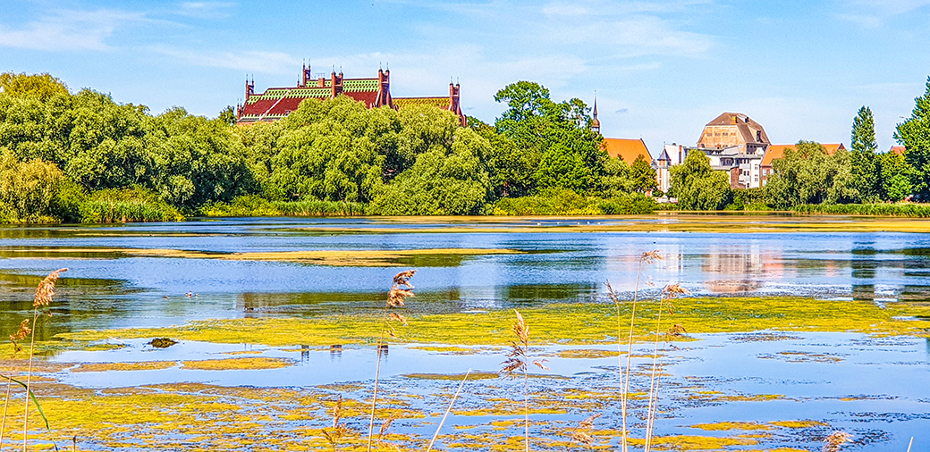 Blick über den Frankenteich